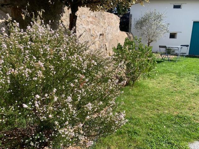נאנט Chambre D'Hotes Les Petits Oiseaux מראה חיצוני תמונה